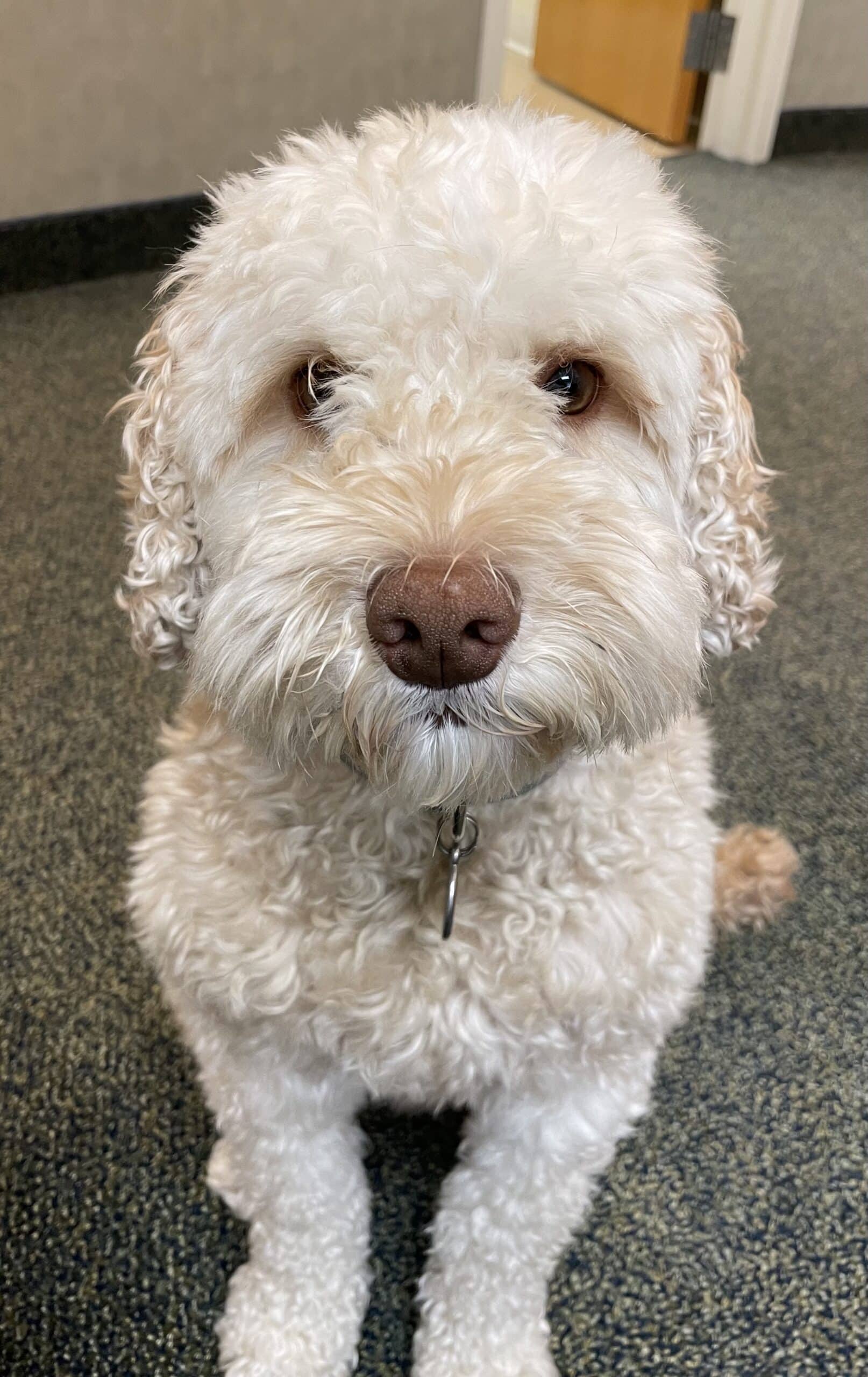 Brady Deborah S. Griffin DMD, LLC in Vernon, CT.